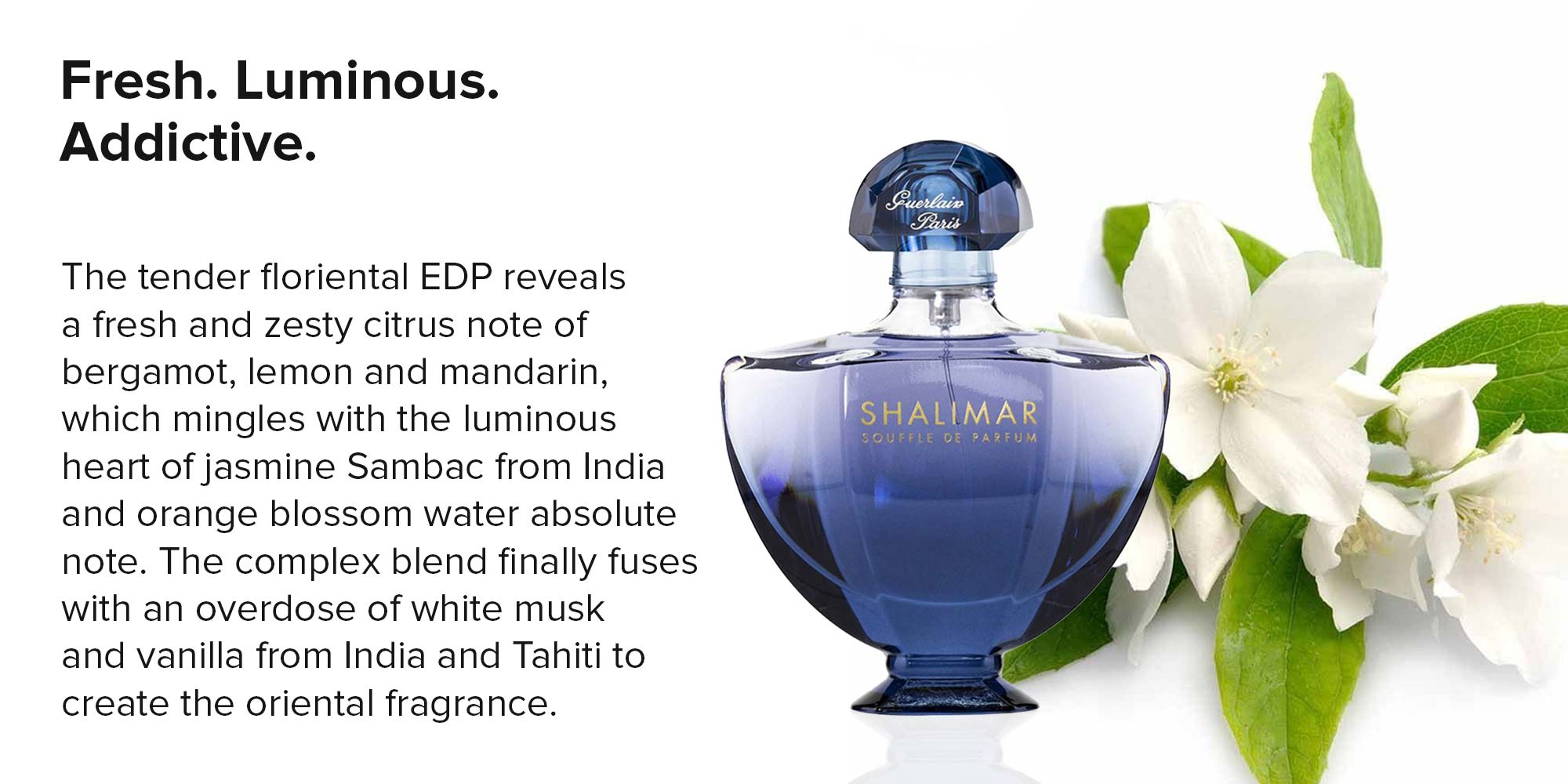 Shalimar souffle intense online perfume