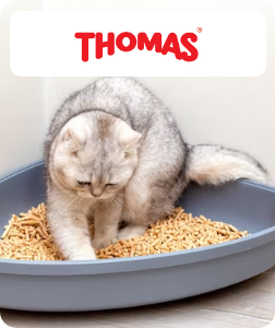/thomas
