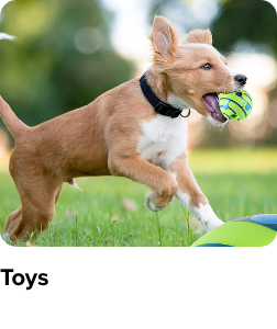 /pet-supplies?q=toys&originalQuery=toys
