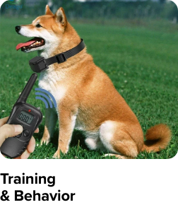 /training-pet-store-ae