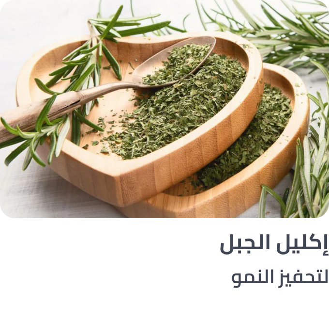 /rosemary-ingredient-haircare/