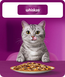 /whiskas