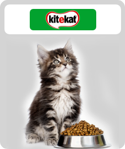 /kitekat