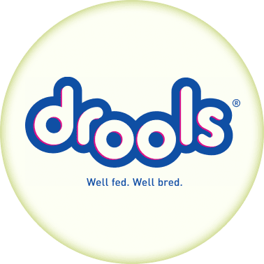 /noon-supermarket/drools/