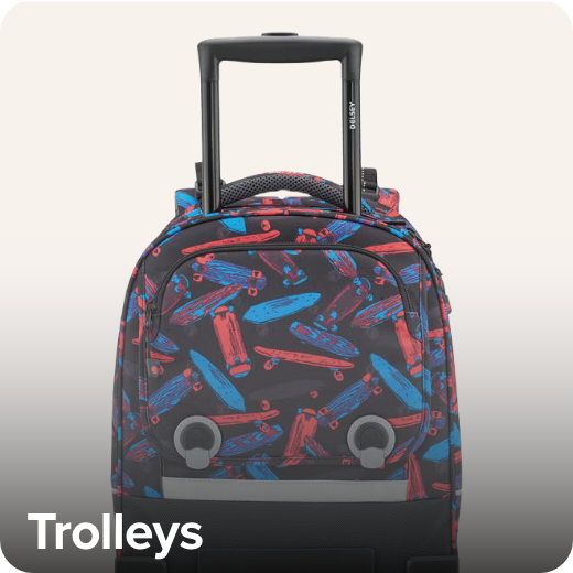 /fashion/luggage-and-bags/backpacks-22161/trolley-backpacks?sort[by]=popularity&sort[dir]=desc&limit=50