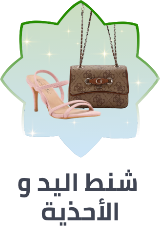 /handbags-footwear-FA_03