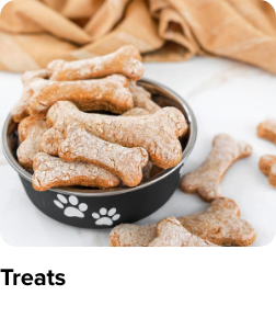 /treats-pet-store-ae