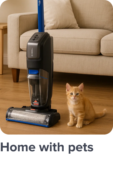 /n-clean-sweep-week-pets-fk-ae/