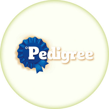 /noon-supermarket/pedigree/