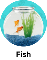 /pet-supplies/fish-and-aquatic-pets