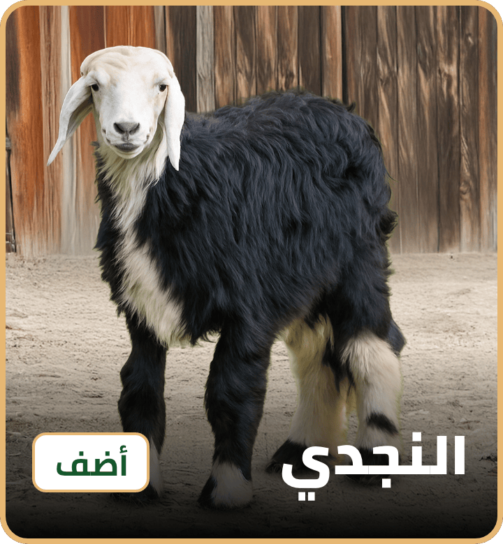 /eid-najdi-uae