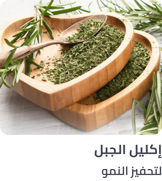 /rosemary-ingredient-haircare/
