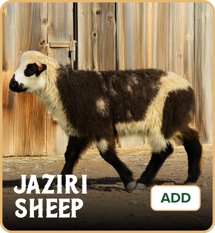 /eid-jaziri-uae