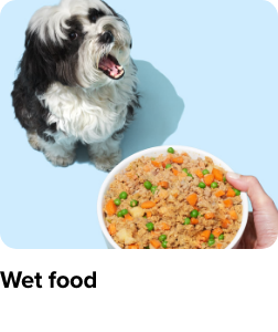 /wet-food-pet-store-ae