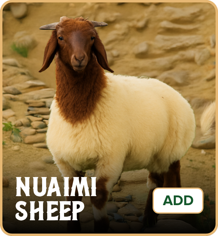 /eid-nuaimi-uae