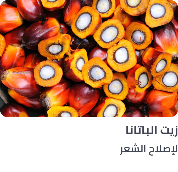 /batana-ingredient-haircare/
