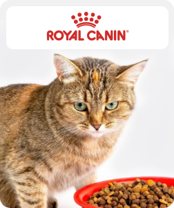 /royal_canin