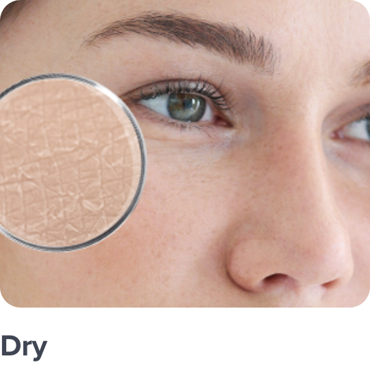 /skincare-cce-brands?f[target_skin_type][]=dry