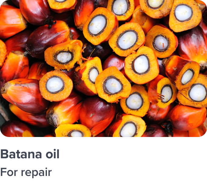 /batana-ingredient-haircare/
