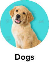 /pet-supplies/dogs-16275