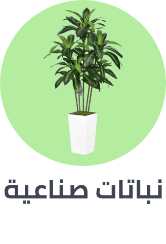 /home-and-kitchen/home-decor/artificial-flora/