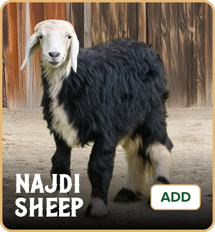 /eid-najdi-uae