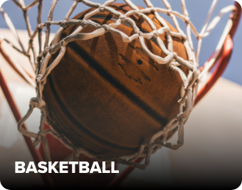 /fashion/women-31229/basketball-edit-FA_03/?sort[by]=popularity&sort[dir]=desc&limit=50