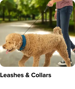 /pet-supplies/dogs-16275/collars-harnesses-and-leashes-17359