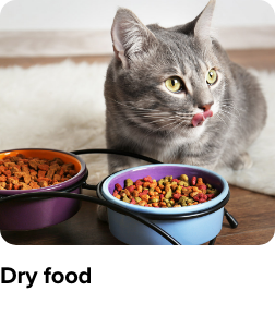 /dry-food-pet-store-ae