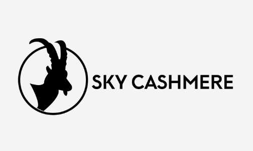 /fashion/women-31229/clothing-16021/womens-indian-ethnic-wear/fashion-women/sky_cashmere