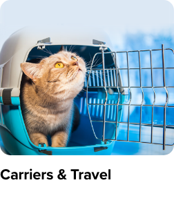 /travel-pet-store-ae