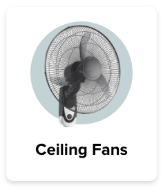 /home-and-kitchen/home-appliances-31235/large-appliances/heating-cooling-and-air-quality/household-fans/ceiling-fans?sort[by]=popularity&sort[dir]=desc
