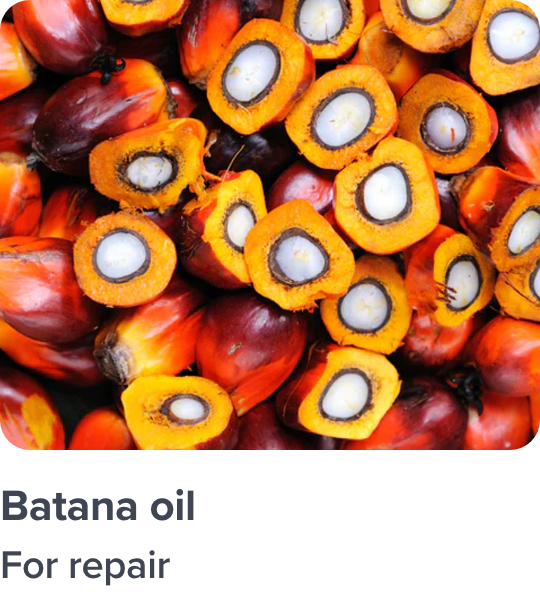 /batana-oil-ae/