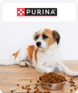 /purina