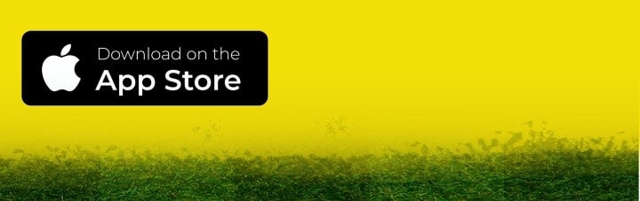 https://apps.apple.com/app/noon-%D9%86%D9%88%D9%86/id1269038866?ls=1