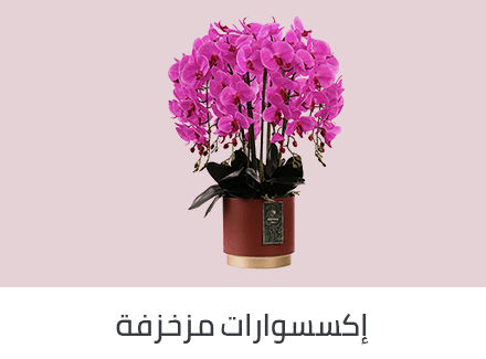 /home-and-kitchen/home-decor/home-decor-accents/switch/noon_east/ebb_and_flow/decorek/amal/home-decor-products/?sort[by]=popularity&sort[dir]=desc&limit=50