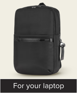 /fashion/luggage-and-bags/laptop-bags-and-cases?q=backpacks