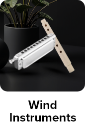/music-movies-and-tv-shows/musical-instruments-24670/wind-instruments