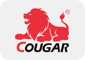 /sports-and-outdoors/cougar