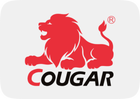 /sports-and-outdoors/cougar