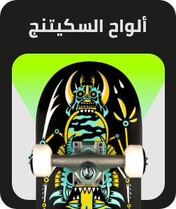 /sports-and-outdoors/action-sports/skateboarding-20415?sort[by]=popularity&sort[dir]=desc&limit=50