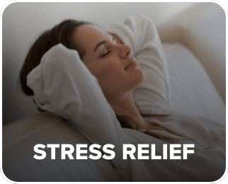 /eg-stress-relief?sort[by]=popularity&sort[dir]=desc
