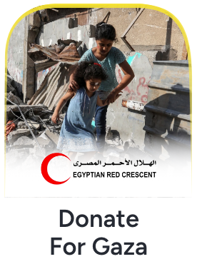 https://egyptianrc.org/en/donation