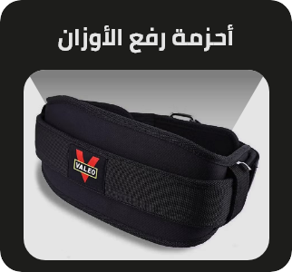 /sports-and-outdoors/exercise-and-fitness/strength-training-equipment/weights-accessories/weight-belts?sort[by]=popularity&sort[dir]=desc&limit=50
