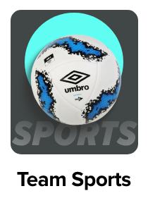 /sports-and-outdoors/sports/team-sports/?sort[by]=popularity&sort[dir]=desc&limit=50&page=1&isCarouselView=false