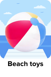 /toys-and-games/sports-and-outdoor-play/pools-water-fun/beach-toys/