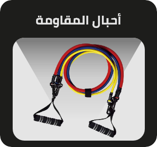 /sports-and-outdoors/exercise-and-fitness/strength-training-equipment/strength-training-equipments/exercise-bands?sort[by]=popularity&sort[dir]=desc&limit=50