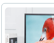 /electronics-and-mobiles/television-and-video/televisions?sort[by]=popularity&sort[dir]=desc&limit=50