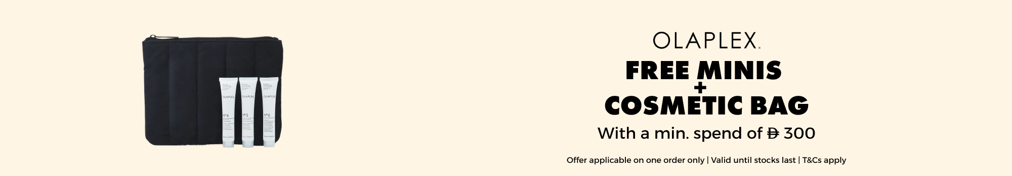 Banner Content