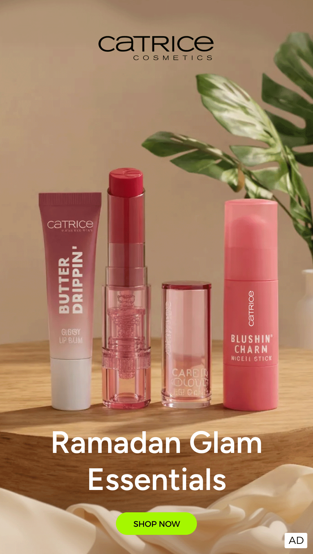 bp8 reg ec 10/03 - 1